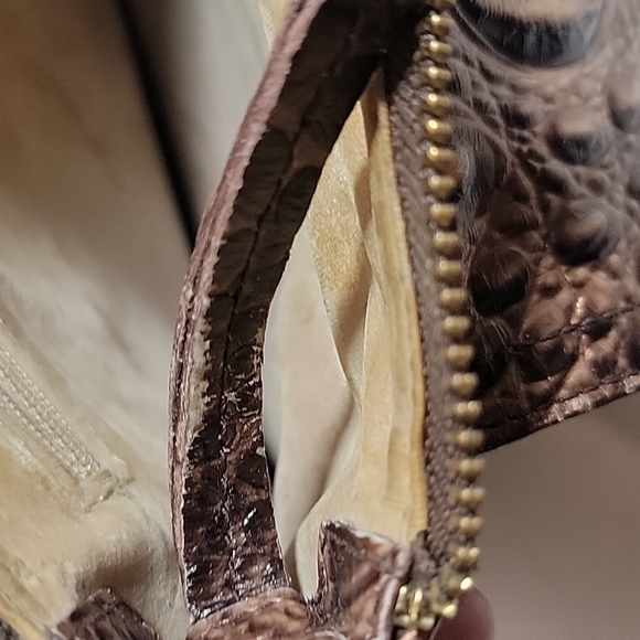 BRAHMIN - Picture 11 of 16